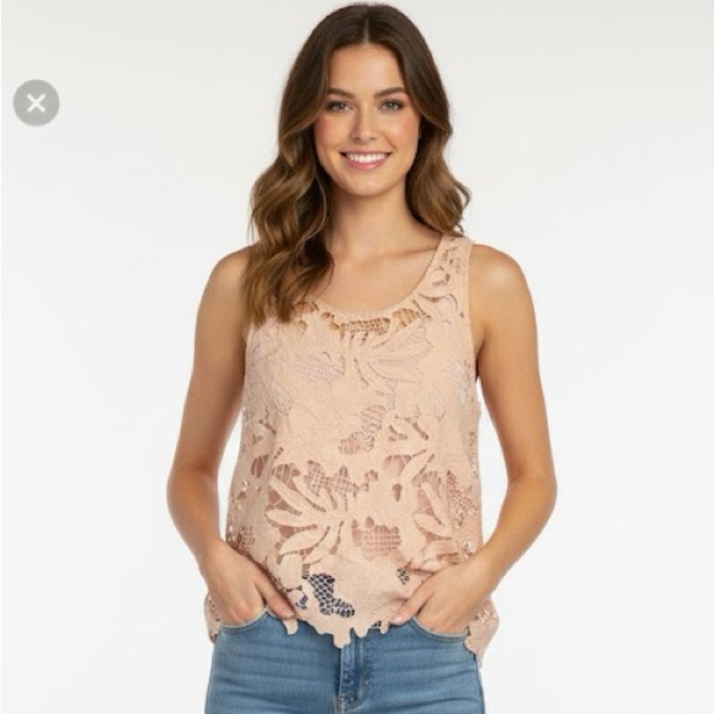 Caution To The Wind | Lace Sleeveless Lace Top- Light Pink